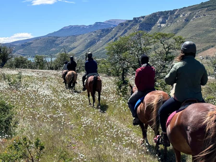 Puerto Natales: Horseback Riding with Horse Connection - The parts I would plan around