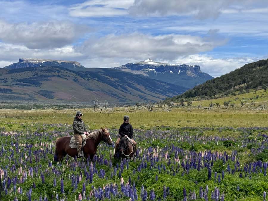 Puerto Natales: Horseback Riding with Horse Connection - More than a trail ride at Hotel Posada 3 Pasos