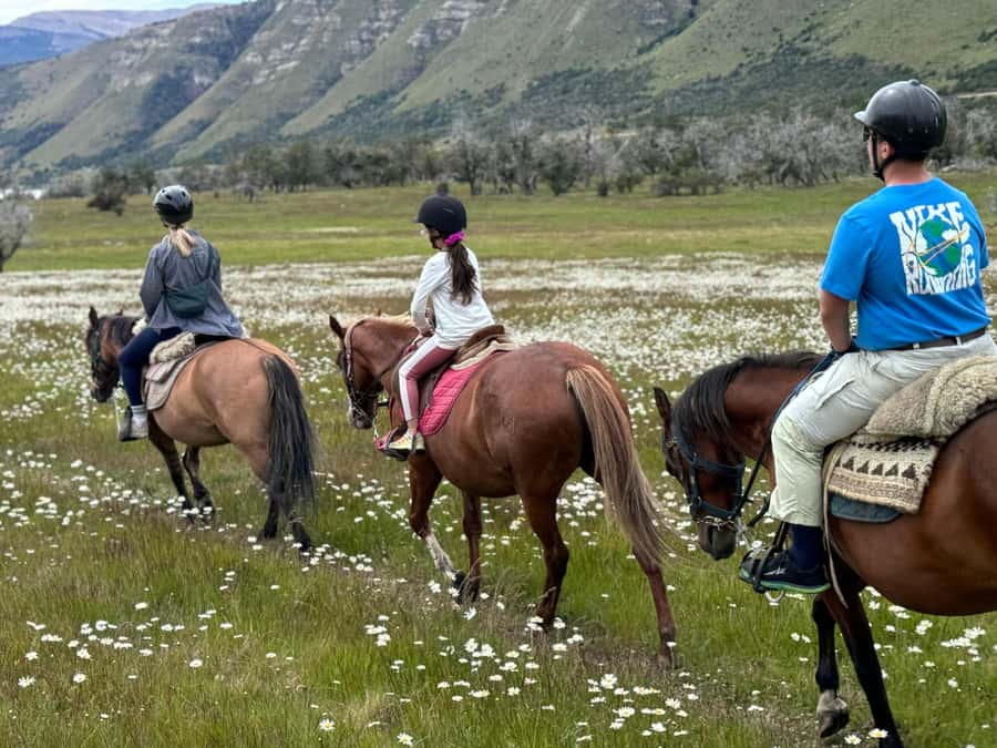 Puerto Natales: Horseback Riding with Horse Connection - The half-day ride to Lake Figueroa