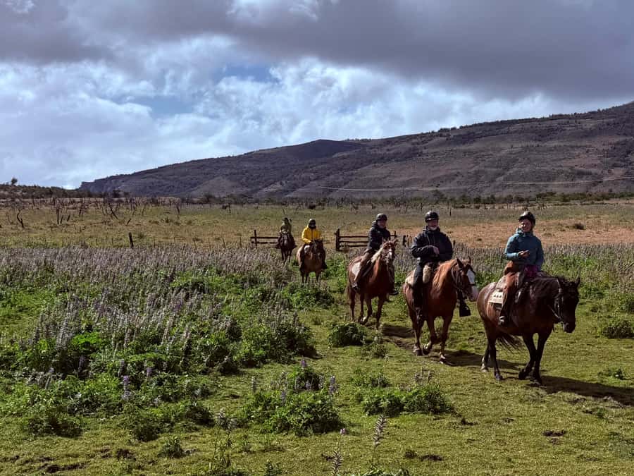 Puerto Natales: Horseback Riding with Horse Connection - What makes the full-day route different