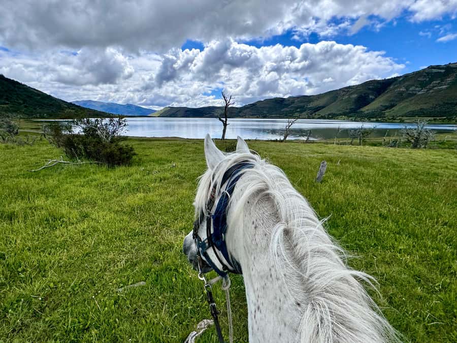 Puerto Natales: Horseback Riding with Horse Connection - A closer look at the scenery and local stories