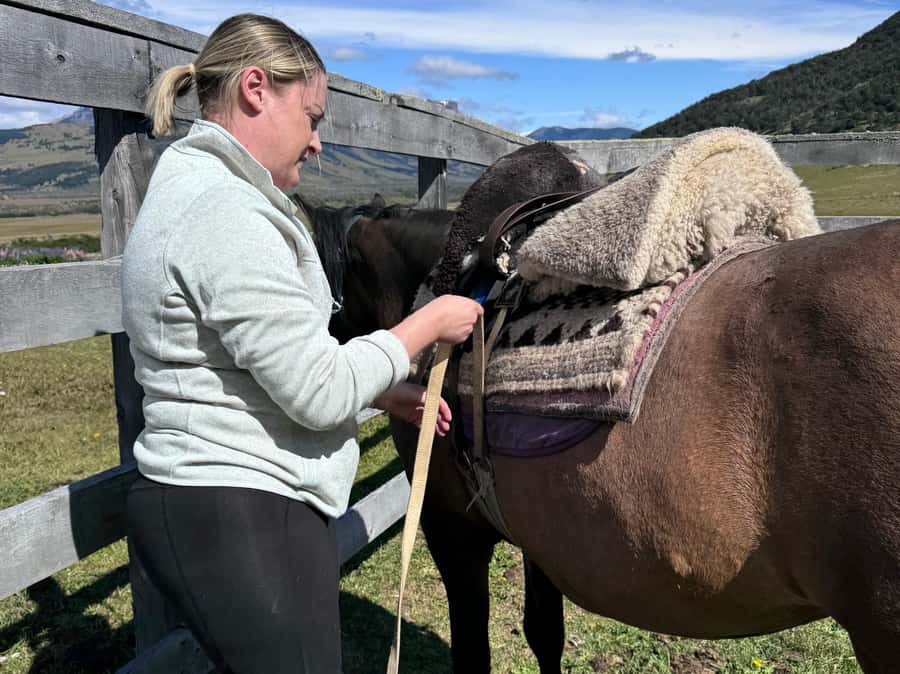 Puerto Natales: Horseback Riding with Horse Connection - How beginner-friendly is this experience?