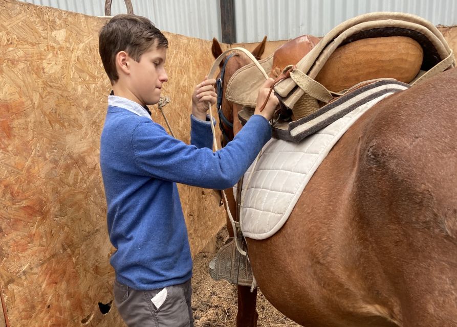 Puerto Natales: Horseback Riding with Horse Connection - Timing, meeting point, and what to bring