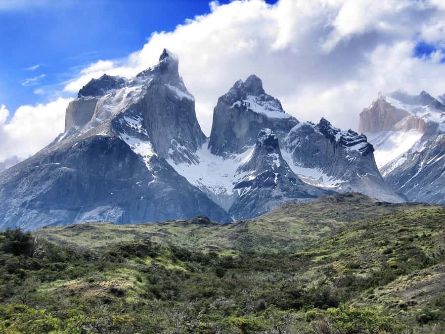 Puerto Natales: Torres del Paine Full Day Tour - Guides, vehicles, and the pace of the day