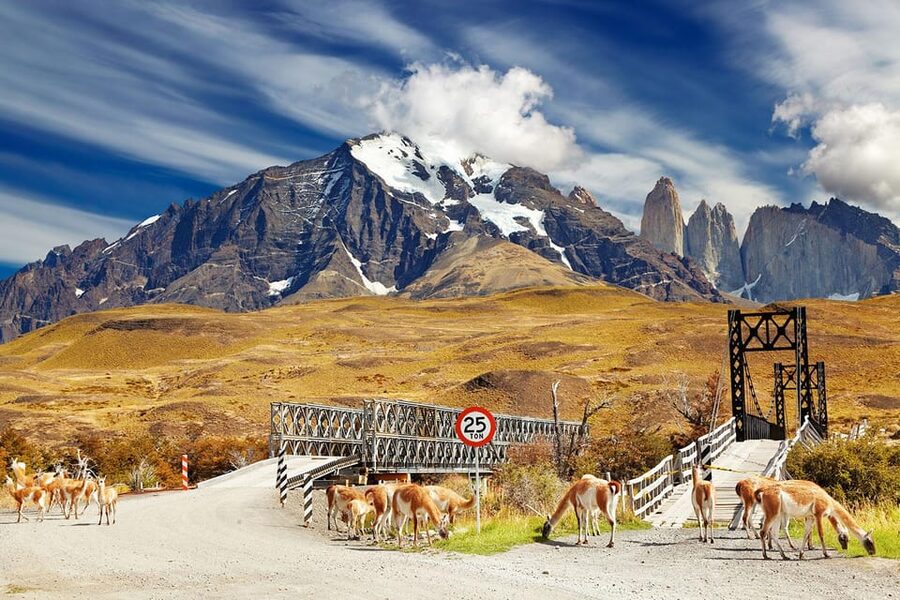 Puerto Natales: Tour Package (Full Day + Base Torres + Grey) - Three days, three sides of Torres del Paine