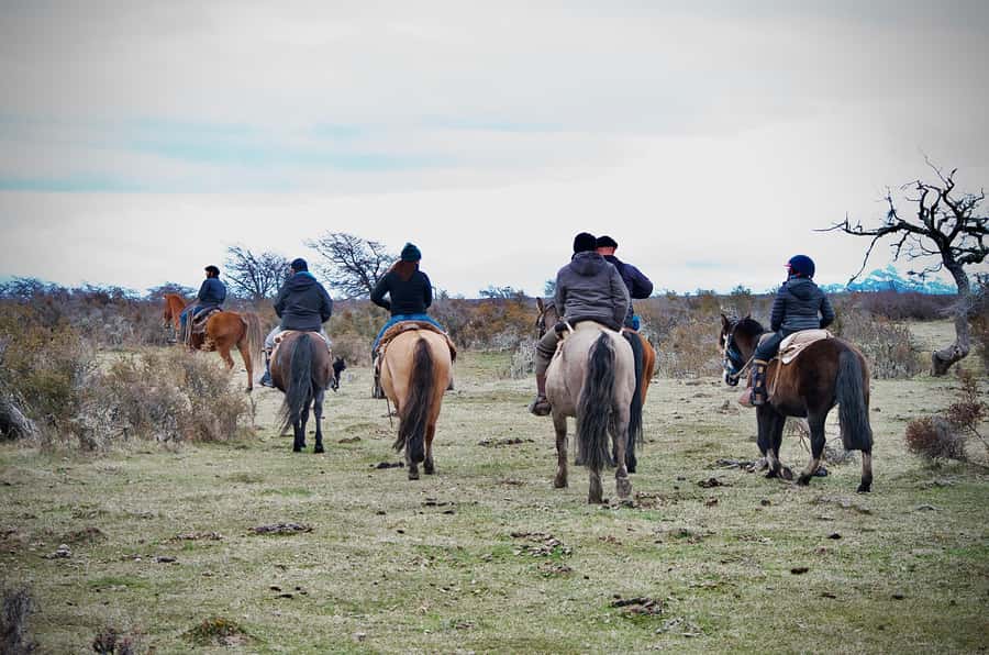 Puerto Natales: Traditional Horseback Riding Experience - Two and a half hours on Patagonian trails