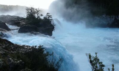 Osorno Volcano, Petrohue Falls Full-day Trip