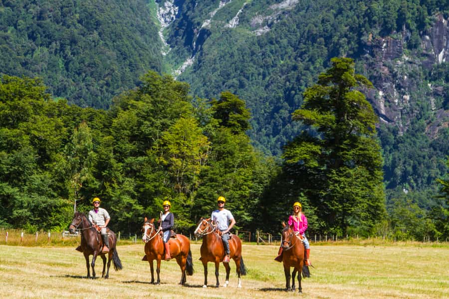 Puerto Varas: Peulla Day Trip - Who will enjoy this day most