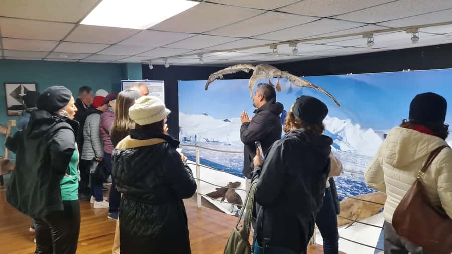 Punta Arenas: City Tour - What the guide and transport add