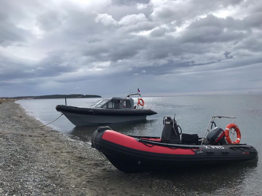Punta Arenas: Dolphin & Wildlife Watching - What the price includes, and whether $190 is fair
