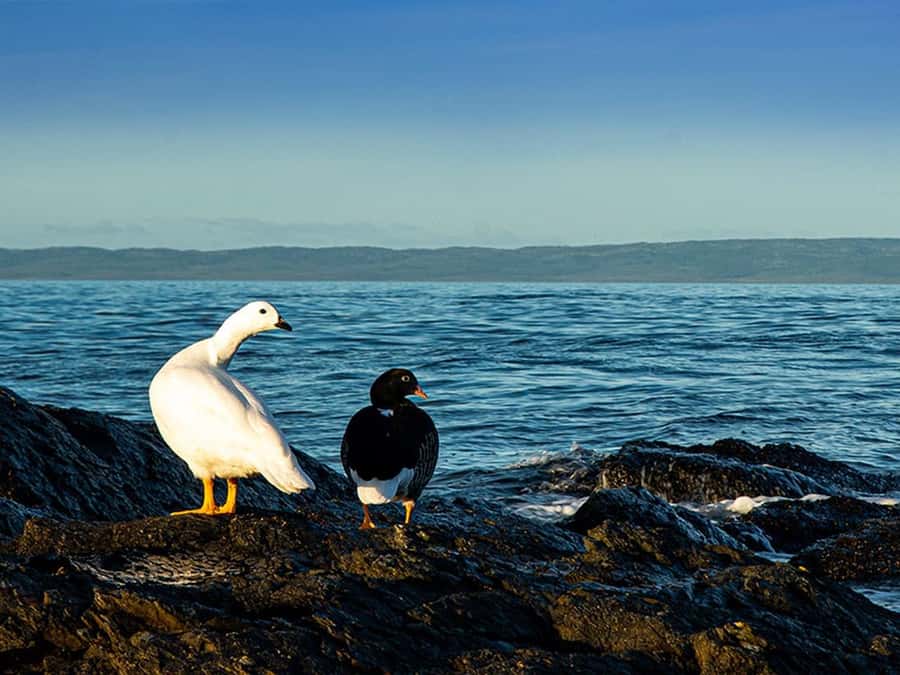 Punta Arenas: Fort Bulnes Historical Tour - Estrecho Park and the view over the Strait