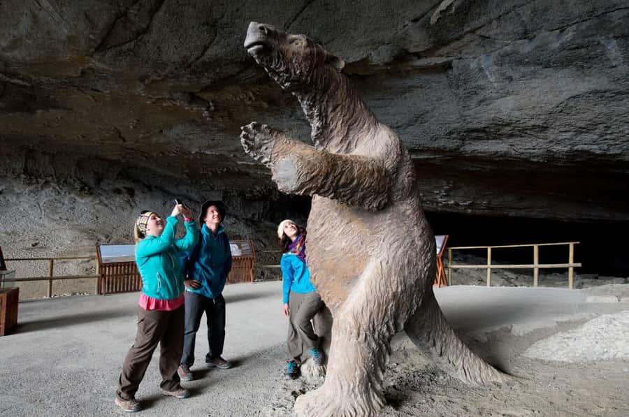 Punta Arenas: Full Day Torres del Paine + Milodon Cave - Why this is a serious day trip