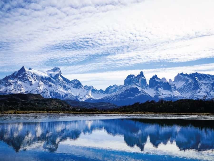Punta Arenas: Full-Day Torres del Paine Tour - A guide can make or break this packed schedule
