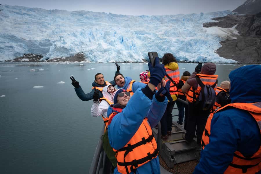 Punta Arenas: Full-Day Whales, Penguins, and Glaciers Tour - Key points to know before you book