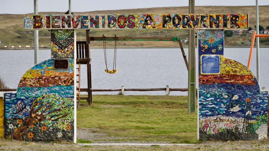 Punta Arenas: King Penguin Park and Tierra del Fuego Trip - Porvenir, Plaza Selknam, and a practical lunch break