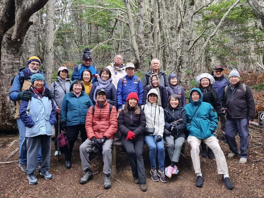 Punta Arenas: Magallanes National Reserve and City Tour - What the Four-Hour Schedule Really Gives You