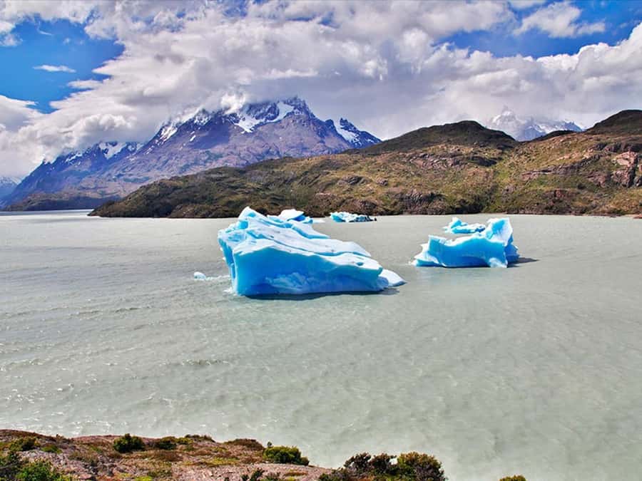 Punta Arenas: Torres del Paine & Grey Glacier Full-Day Boat - The Grey Glacier catamaran is the reason to go
