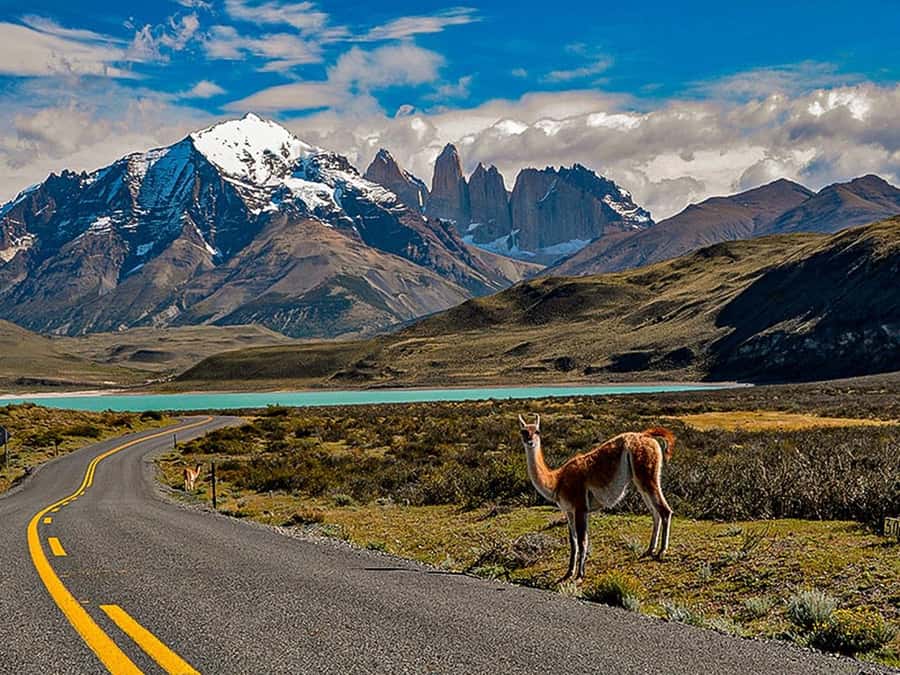 Punta Arenas: Torres del Paine & Grey Glacier Full-Day Boat - The long road from Punta Arenas to the park