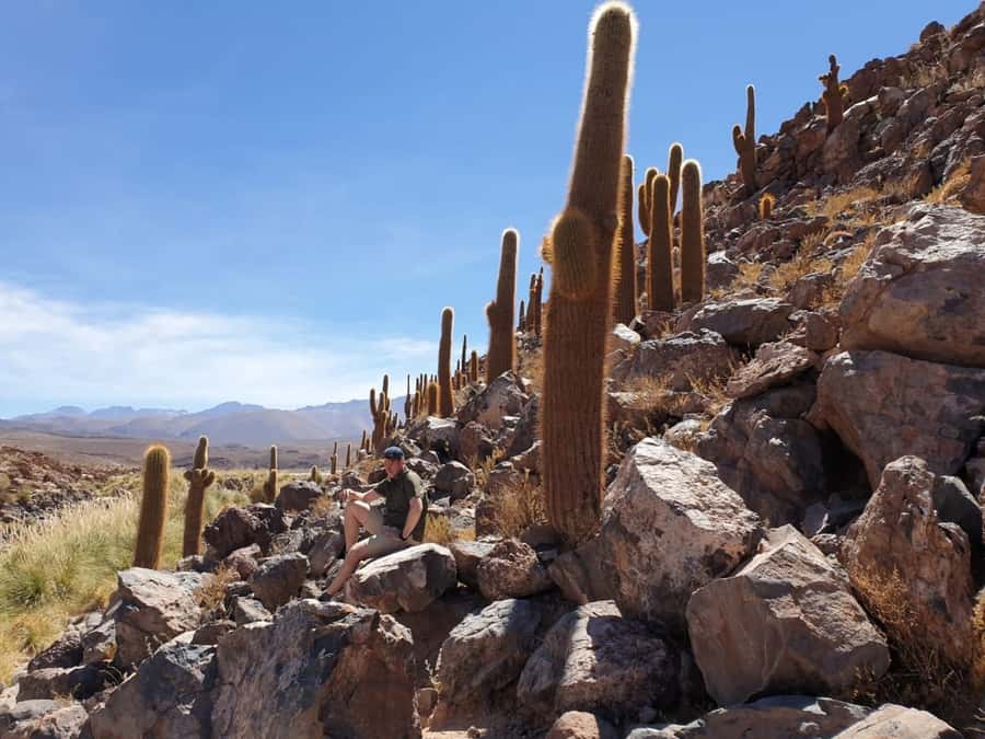 Purilibre Trekking - A green canyon in the driest part of Chile