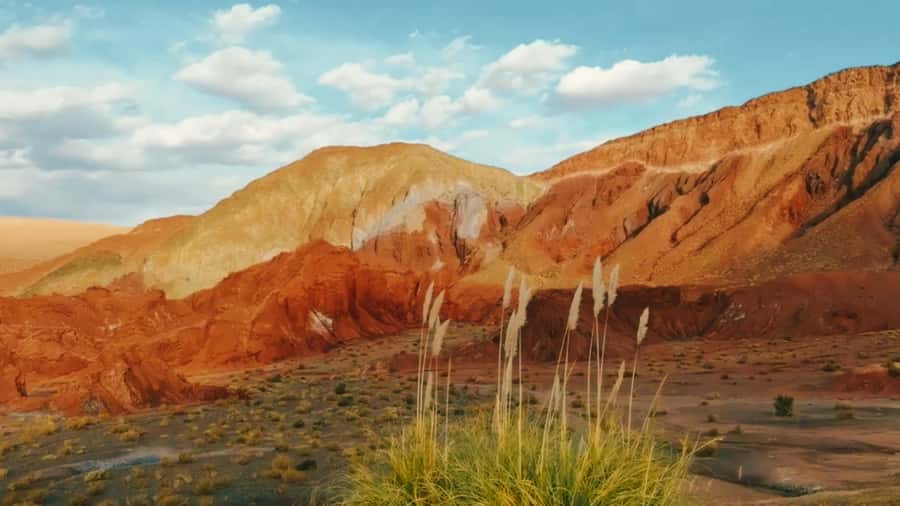 Rainbow Valley Tour: Mesmerizing Colors and Flavors - Why Rainbow Valley is worth your morning