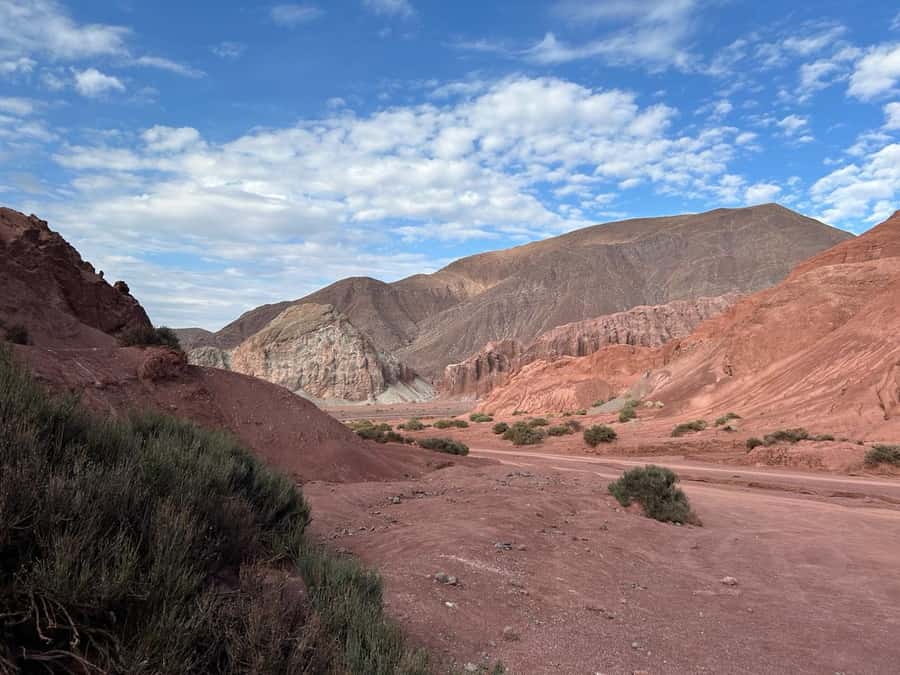 Rainbow Valley Tour + Petroglyphs (Yerbas Buenas) - Why Rainbow Valley is worth a morning
