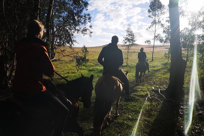 Ride to the highest point on the island for sunset - Is $149 a fair price?