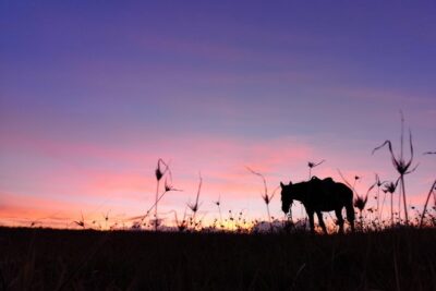 Ride to the highest point on the island for sunset