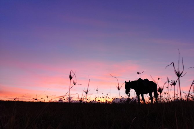 Ride to the highest point on the island for sunset - Open meadows and the climb to the highest point