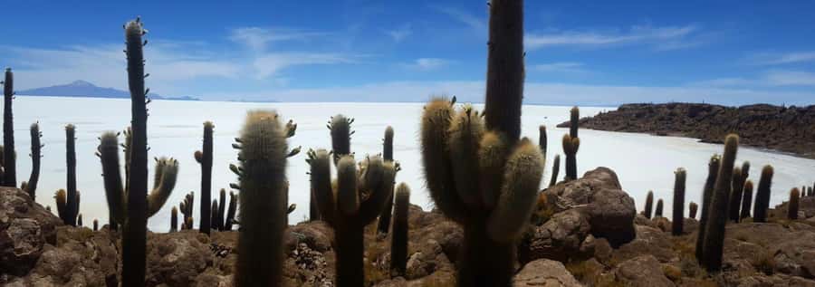 Roundtrip to the Uyuni Salt Flat and the Colored Lagoons - Sol de la Mañana and the Siloli Desert