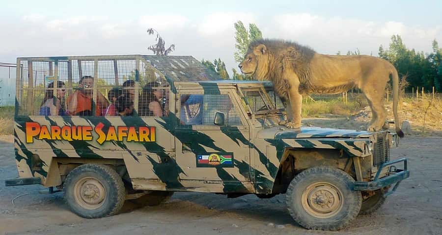 SAFARI PARK-TOUR RANCAGUA : CHILE - The nine-hour day from pickup to return