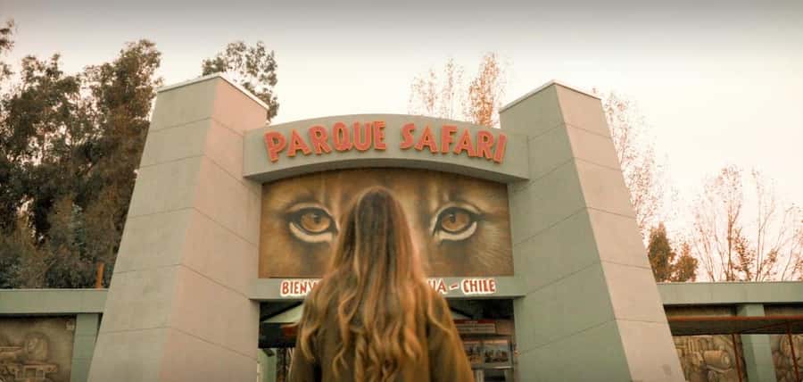 SAFARI PARK-TOUR RANCAGUA : CHILE - Meeting the lions and tiger by car