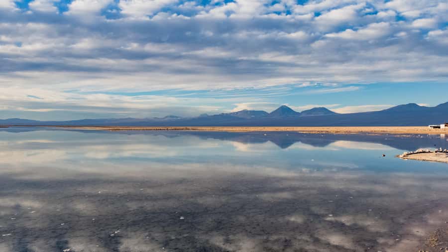 Salar de Atacama and altiplanic lagoons - Miscanti and Miñiques at 4,200 meters