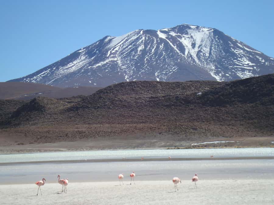 San Pedro de Atacama: 3 D. Tour Uyuni and Back to San Pedro - The return through Villa Mar and the Altiplano