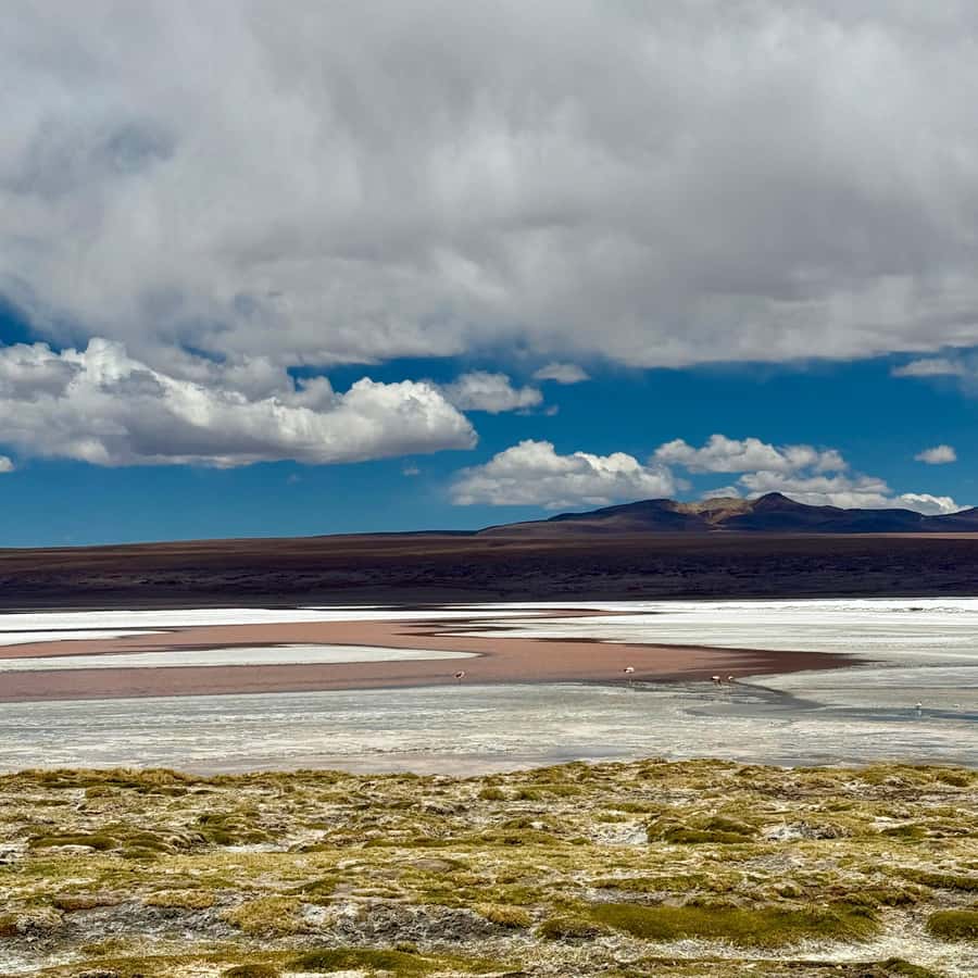 San Pedro de Atacama: 3 D. Tour Uyuni and Back to San Pedro - The physical reality of the three-day schedule