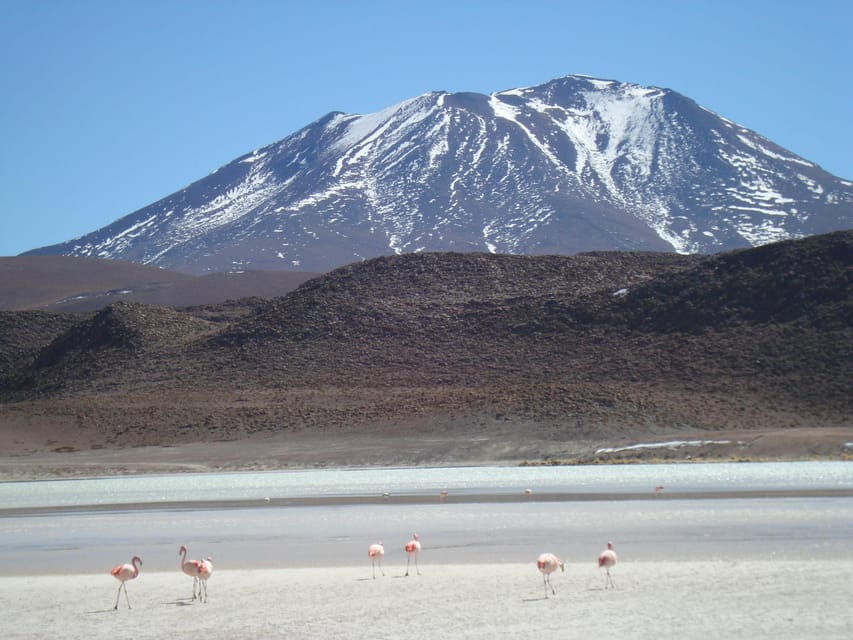 San Pedro de Atacama: 3 D. Tour Uyuni and Back to San Pedro - Who should book this Uyuni trip?