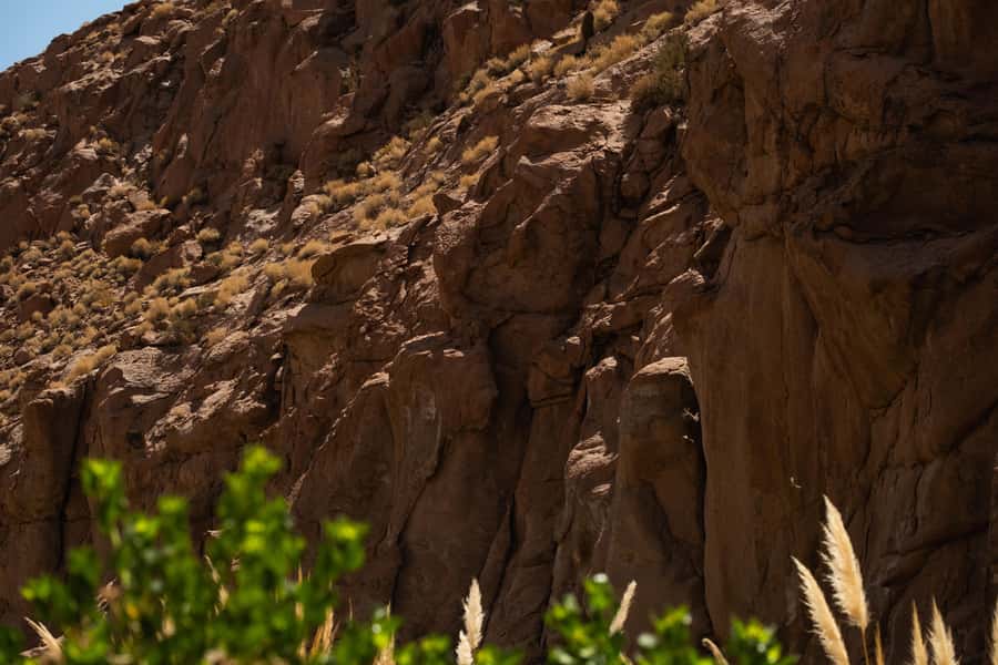 San Pedro de Atacama: Canyon Swimming Pools Trekking Trip - What the guide adds to the experience