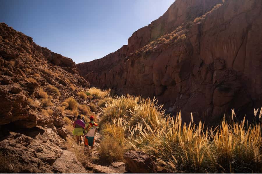 San Pedro de Atacama: Canyon Swimming Pools Trekking Trip - Who should book this canyon and pool trip?