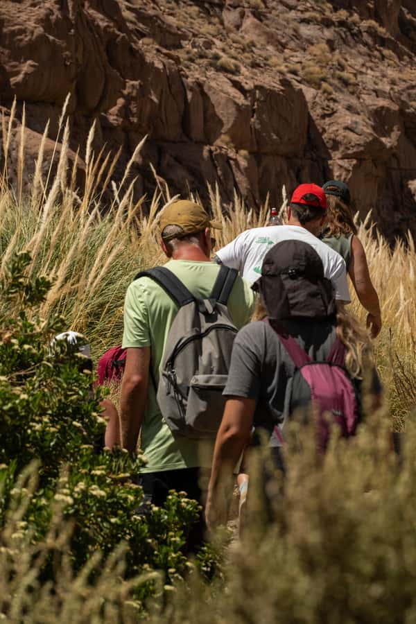 San Pedro de Atacama: Canyon Swimming Pools Trekking Trip - From San Pedro hotels to the canyon entrance