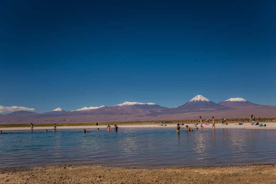 San Pedro de Atacama: Cejar Lagoon, Tebenquiche & Ojos Salar - Three Atacama waters in one half-day