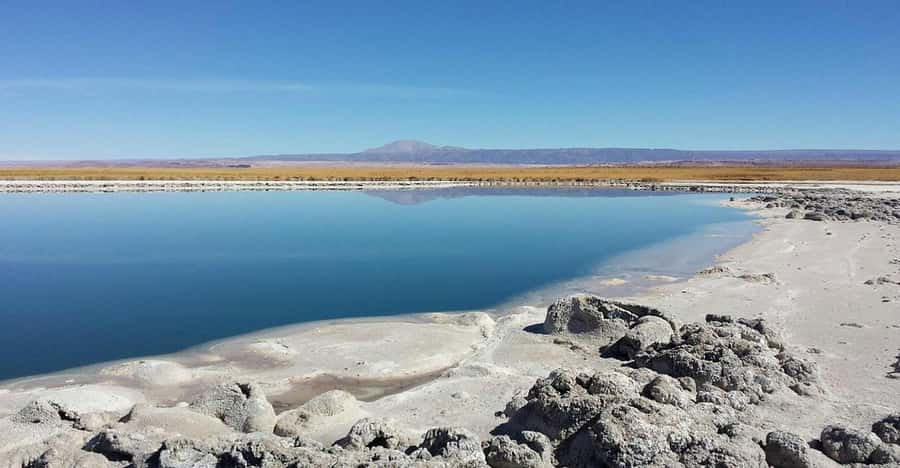 San Pedro de Atacama: Cejar Lagoon, Tebenquiche & Ojos Salar - Ojos del Salar, two blue circles in the salt flat