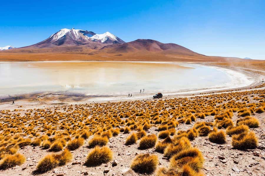 San Pedro de Atacama Day Trip: Atacama Desert and Salt Flats - Morning views at Mirador de Lickancabur