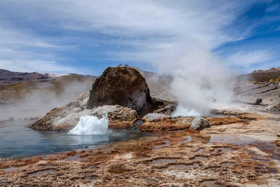 San Pedro de Atacama: El Tatio Geyser Field and Wetlands - The quiet stop at Putana Wetlands