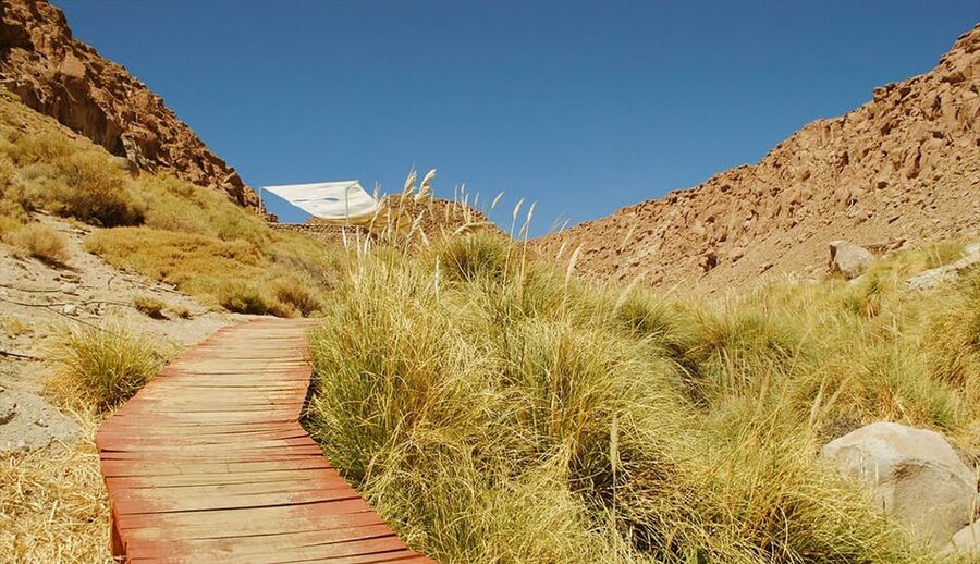 San Pedro de Atacama: Puritama Hot Springs - Who will enjoy this outing most?