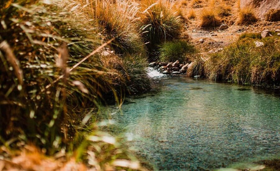 San Pedro de Atacama: Puritama Hot Springs - Practical details to settle before booking