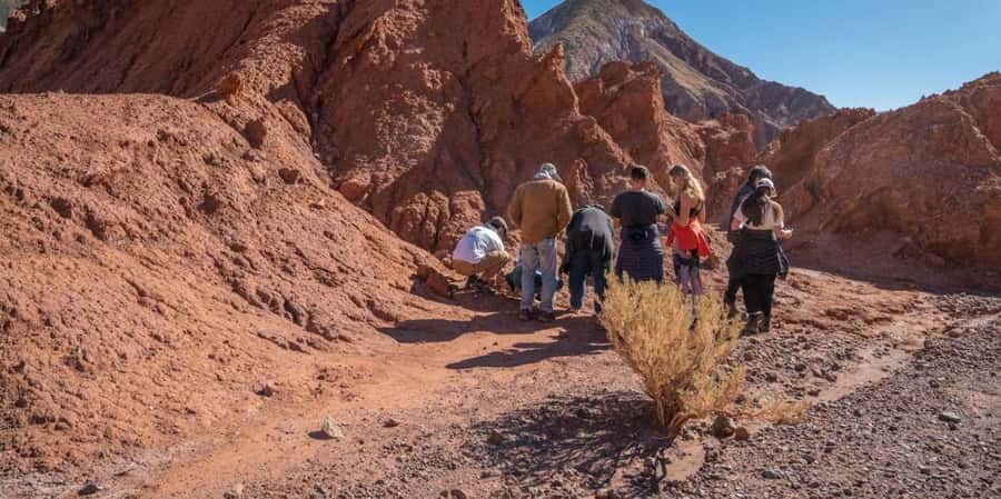 San Pedro de Atacama: Rainbow Valley & Good Herbs Tour - Who will enjoy this tour most