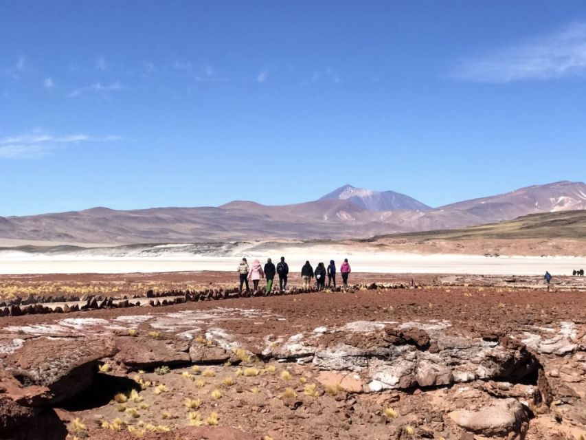 San Pedro de Atacama: Red Rocks & Altiplano Lagoons Day Trip - Who should book this high-altitude excursion