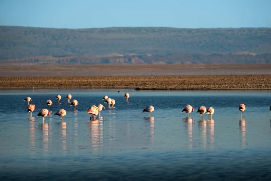 San Pedro de Atacama: Red Rocks & Altiplano Lagoons Day Trip - The red stone walk at Piedras Rojas