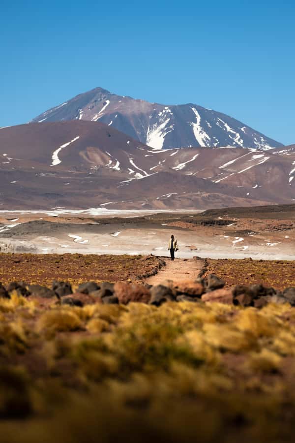 San Pedro de Atacama: Red Rocks & Altiplano Lagoons Day Trip - Meals, transport, and the real value of $129