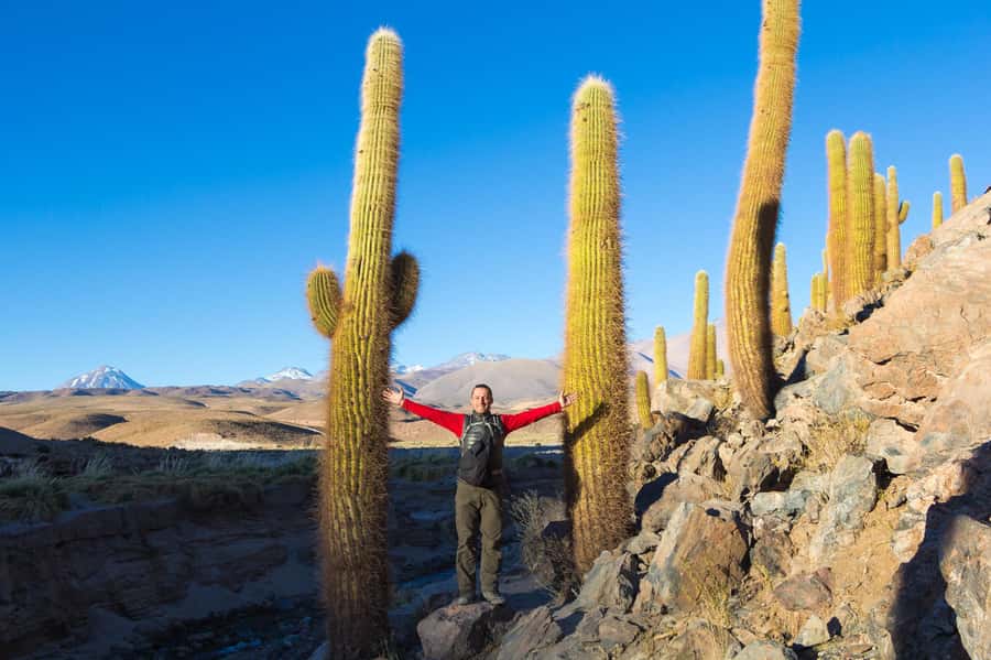 San Pedro de Atacama: Saver Pack Tatio Geysers + Moon Valley - Machuca, birds, and high desert wildlife