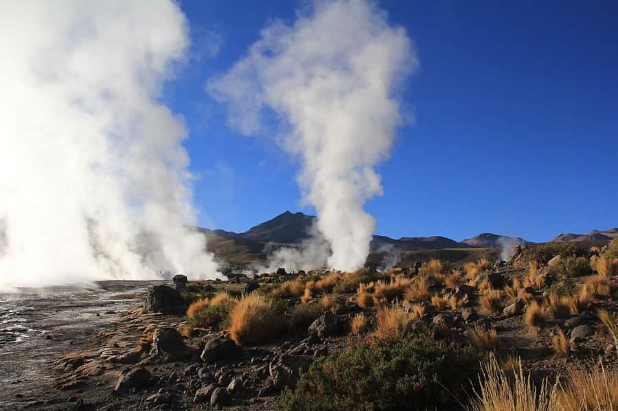 San Pedro de Atacama: Tatio Geysers and Machuca Tour - Why the Tatio Geysers are worth the early start